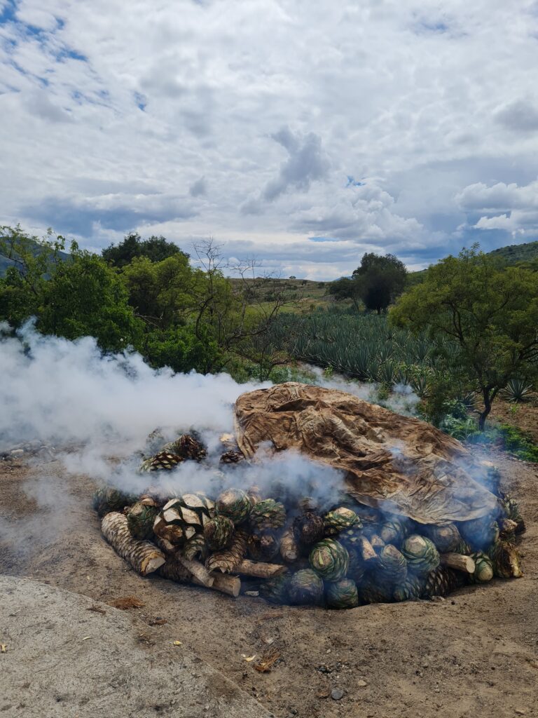 quemadepiñas